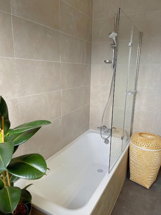Appartement Tres Cosy A 5 Min Aeroport Geneve Ferney-Voltaire Exterior photo
