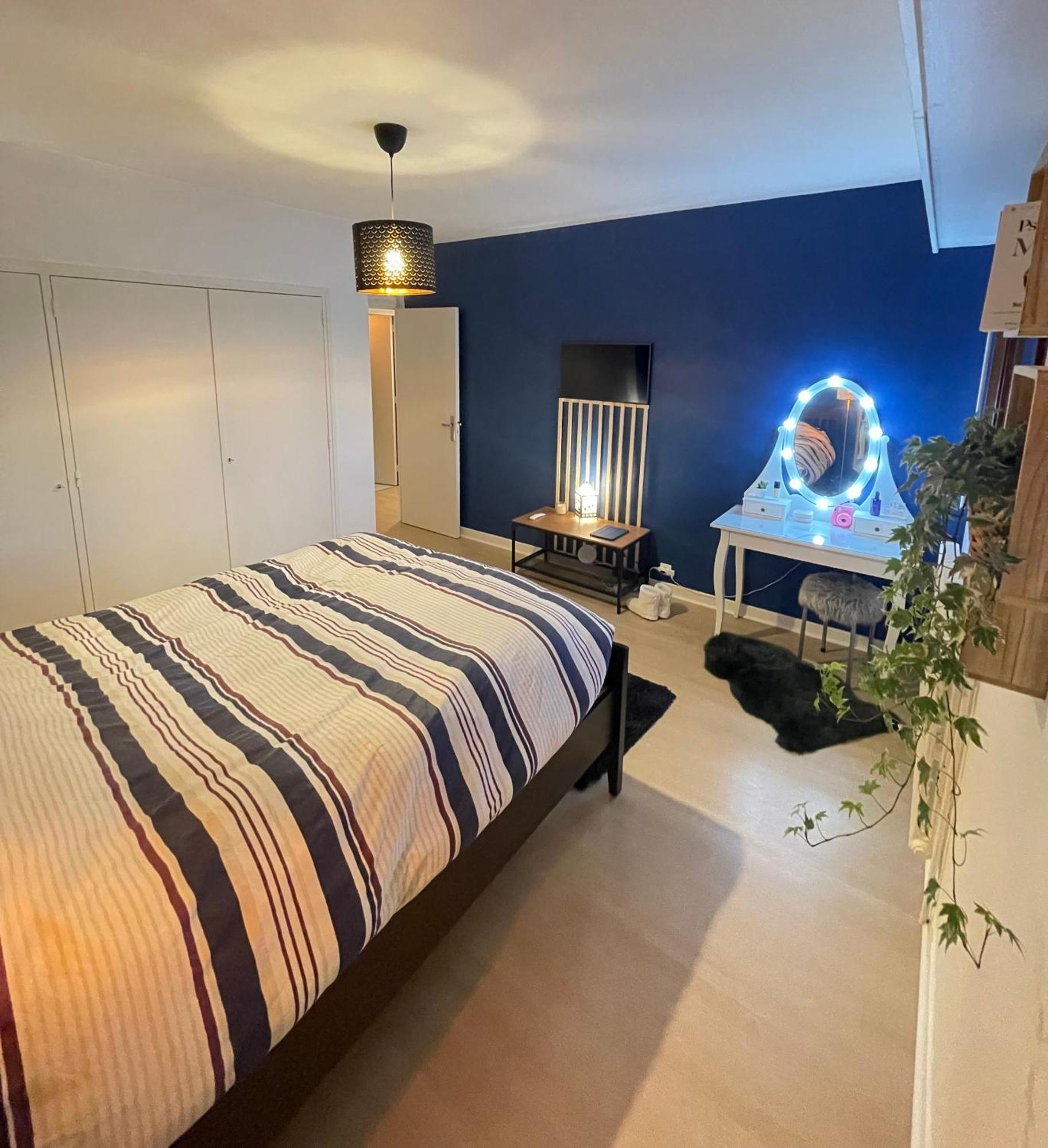 Appartement Tres Cosy A 5 Min Aeroport Geneve Ferney-Voltaire Exterior photo